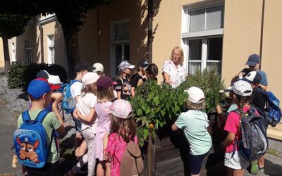 Beliebte Gänseblümchenreise im Rahmen des St. Florianer Ferienpasses